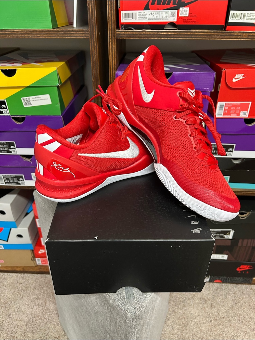 Kobe 8 Protro
